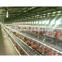 Hotsale Automatic Design Layer Chicken Battery Cages para Africa Poultry Farm